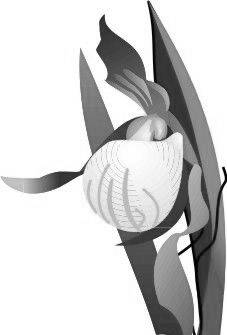 ��(j��ng)��(j��)���³��B(t��i)���c���(hu��)�l(f��)չ�����c(di��n)��