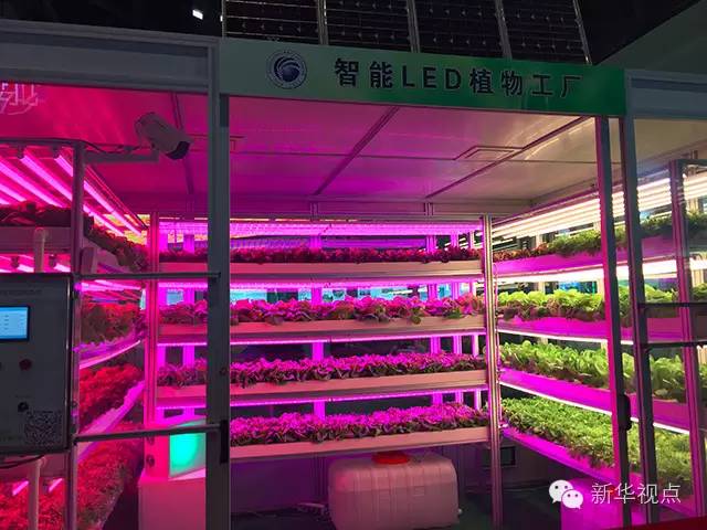 ������(x��)����ӛȥ���Ƽ�չ��