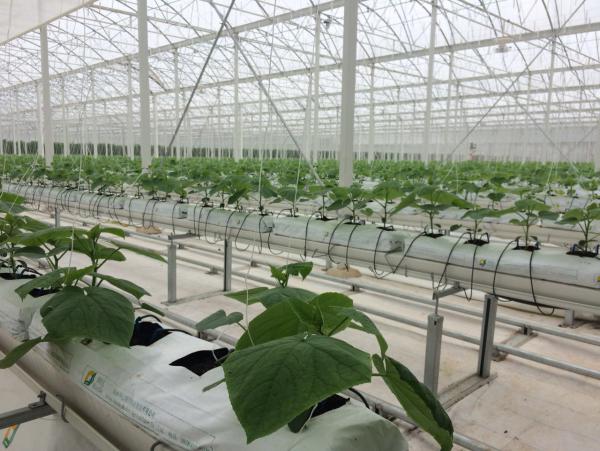 webwxgetmsgimg (10).jpg