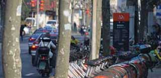 �ĸ���߅��