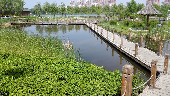 ���ͺ��ع��@ ����