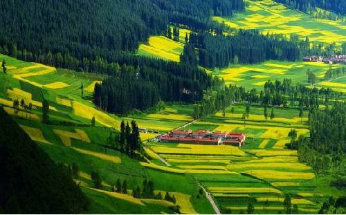 �����ϾW(w��ng)�� ϲӭʮ�Ŵ󡿱������B(t��i)��������������M(j��n)�Gɫ�l(f��)չ