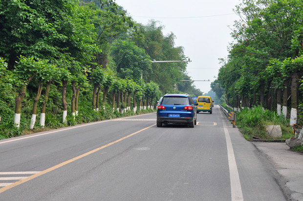 ·  �d�����l(xi��ng)�S�ӵ���������