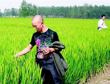 ����ɶ������r(n��ng)�I(y��)�I(y��)��(j��ng)����֮һ���N��������־ȫ�F(xi��n)�ڹ������������1800�����