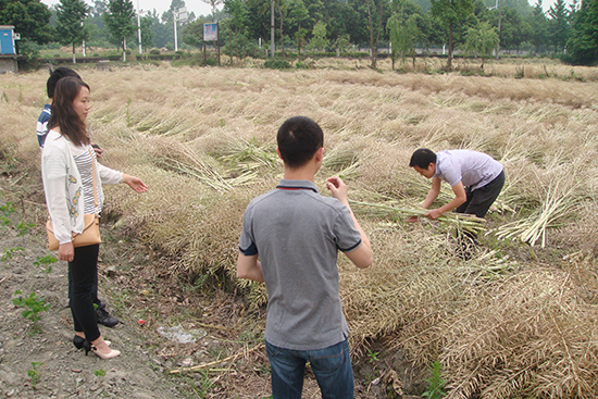 �p������헴�ʩ ��(y��n)�ؽն��ٟ�