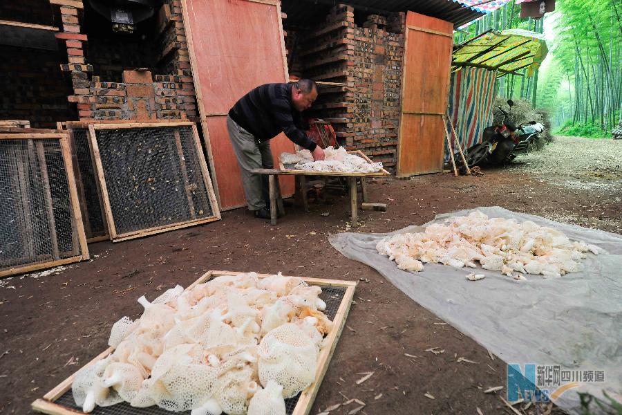 ����(j��ng)������3��̽�����½�(j��ng)��ģʽ  ɽ�^(q��)���r(n��ng)�����@��