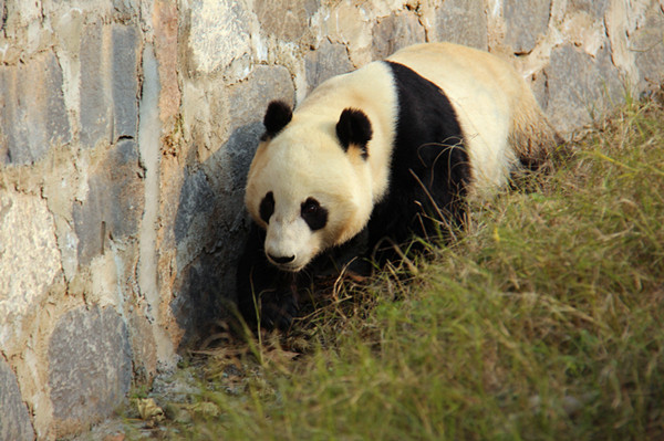 ����؈�����ӡ��ؼҚgӭ�������e��(�M�D��