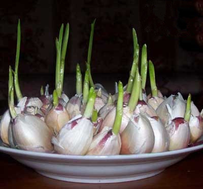 ����l(f��)ѿ�ܳԆ���