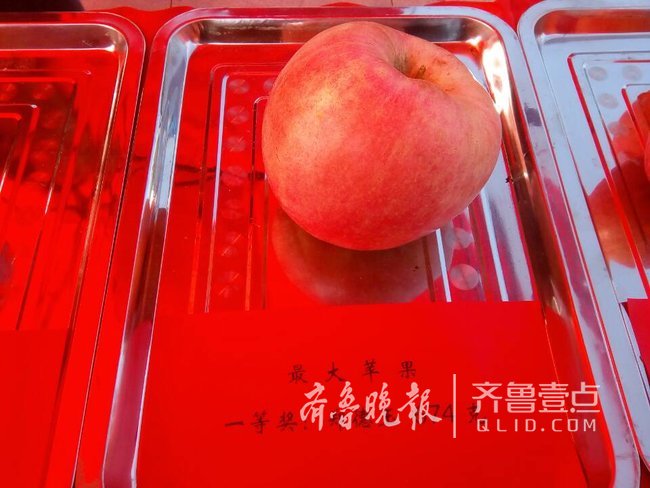 һ���O�����_1��3�ɶ� ƽ���f���x������O��