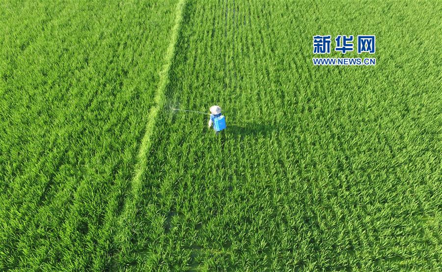 #���r(n��ng)�I(y��)����1���Ĺ��r(n��ng)��æ