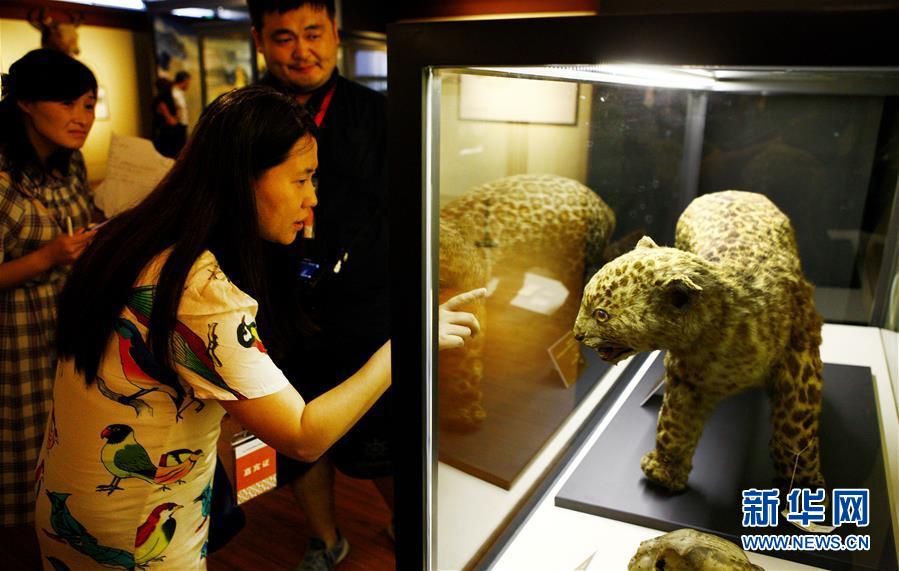 ���Ļ�����1�����^(li��n)�� �Ϻ�������Դ��չ�_(k��i)Ļ