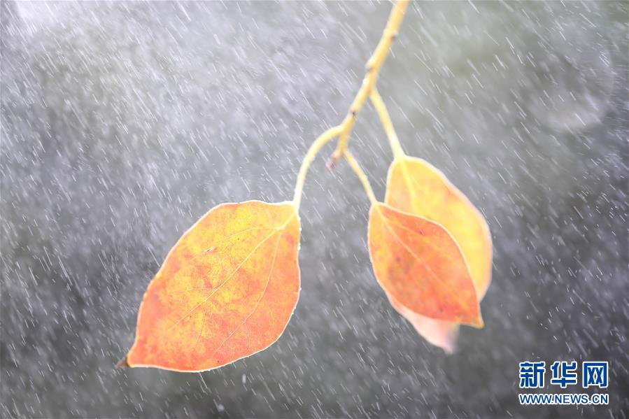 #��ҕ���X����2��һ�~֪��