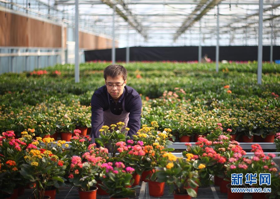 #����������1������h�У��ϻ����N �l(xi��ng)���D���_�����¸�����