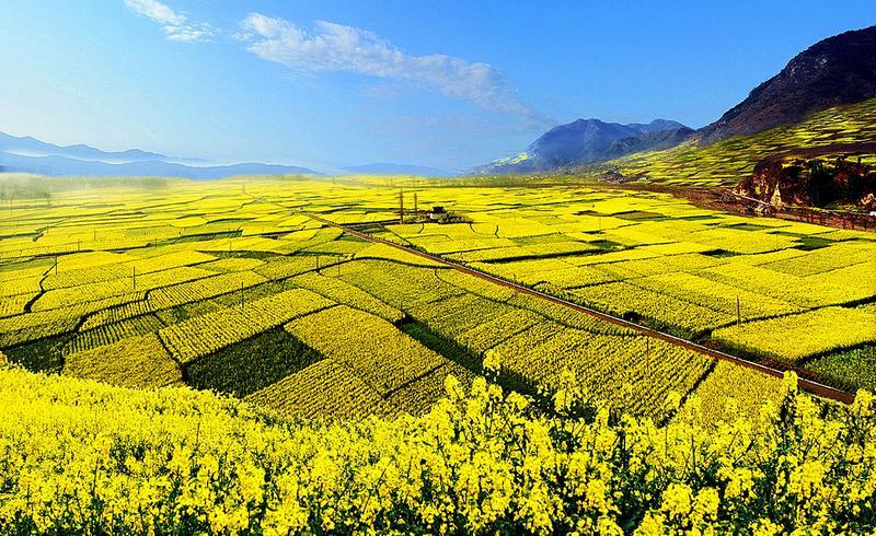 ԭ�������@�ӵĝh�� �Ȳ�����ȥ�v������