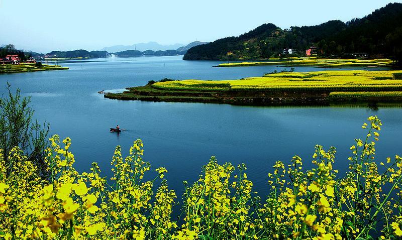 ԭ�������@�ӵĝh�� �Ȳ�����ȥ�v��������3��