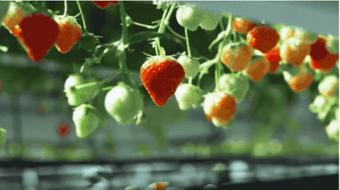 �@�_С�ɵęC�������ÙC��ҕ�Xժ��ݮ ߀�ܿ����첻��