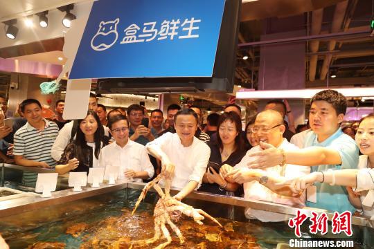 �R����Ͷ�Y���ţ�����δ��Ҫ�������Q1�|�͘I(y��)�C��