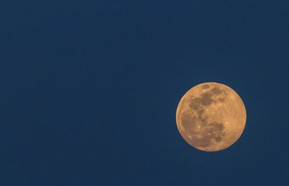 Screen Shot 2021-02-01 at 11.26.12 AM.png