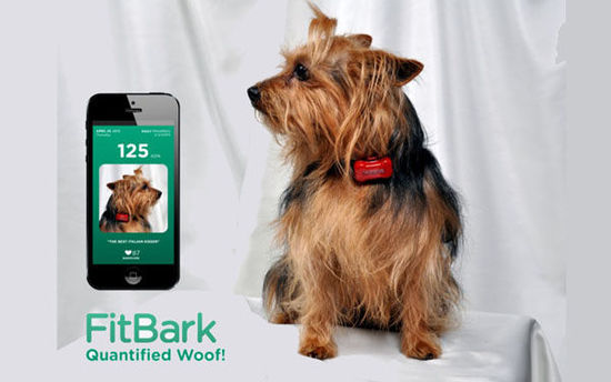 �P�c5��V�ܚgӭ�Č���ÿɴ����O(sh��)��