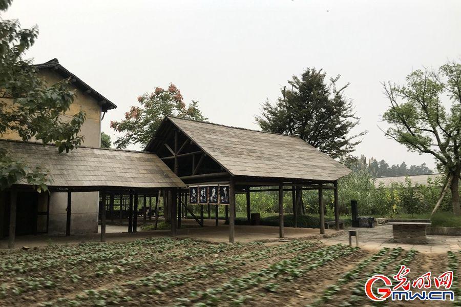 Vlogح���������绥(li��n)�W(w��ng)����M(j��n)�뵹Ӌ�r�����(zh��n)��(zh��n)�����