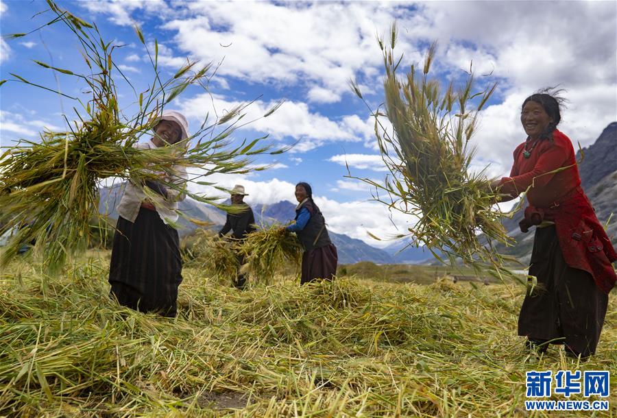 ���������3�����أ������_�µ�����